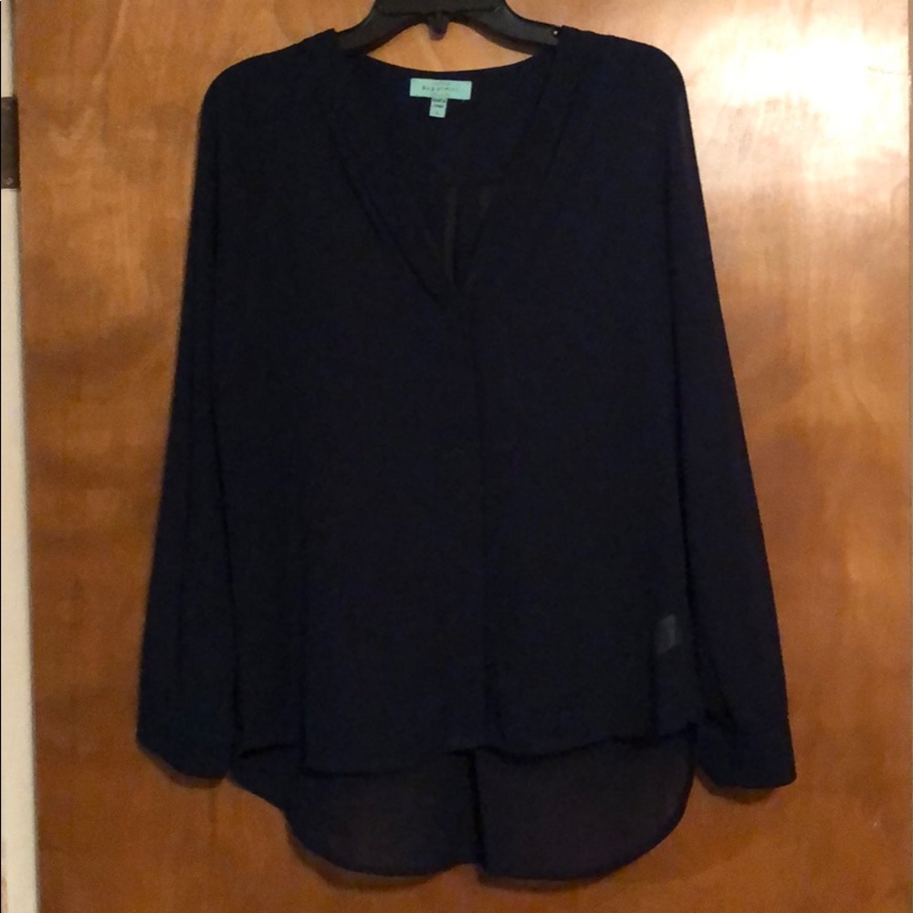 NWOT Sheer Navy Long sleeve  Blouse